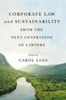 Carol Liao - Corporate Law and Sustainability from the Next Generation of Lawyers