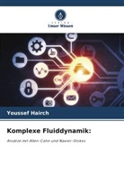 Youssef Hairch - Komplexe Fluiddynamik: