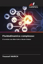 Youssef Hairch - Fluidodinamica complessa: