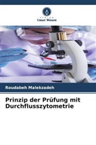 Roudabeh Malekzadeh - Prinzip der Prüfung mit Durchflusszytometrie
