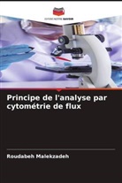 Roudabeh Malekzadeh - Principe de l'analyse par cytométrie de flux