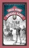 Jules Verne - Bayraga Karsi