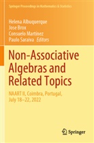 Helena Albuquerque, Jose Brox, Consuelo Martínez, Consuelo Martínez et al, Paulo Saraiva - Non-Associative Algebras and Related Topics