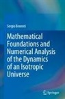 Sergio Benenti - Mathematical Foundations and Numerical Analysis of the Dynamics of an Isotropic Universe