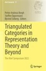 Petter Andreas Bergh, Steffen Oppermann, Øyvind Solberg - Triangulated Categories in Representation Theory and Beyond