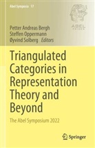 Petter Andreas Bergh, Steffen Oppermann, Øyvind Solberg - Triangulated Categories in Representation Theory and Beyond