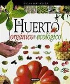 El huerto orgánico ecológico