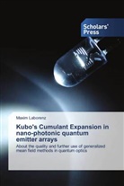 Maxim Laborenz - Kubo's Cumulant Expansion in nano-photonic quantum emitter arrays