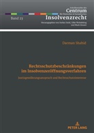 Darman Shahid, Stefan Smid - Rechtsschutzbeschränkungen im Insolvenzeröffnungsverfahren