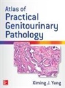 Ximing Yang - Atlas of Practical Genitourinary Pathology