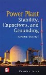 Orlando Acosta - Power Plant Stability Capacitors and Grounding: Numerical Solutions