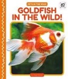 Grace Hansen - Goldfish in the Wild!
