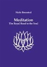 Niels Brønsted - Meditation