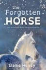 Elaine Heney - The Forgotten Horse - Dyslexia Friendly