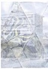 Paula Roush - WATER PRINTS