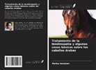 Melika Abdollahi - Tratamiento de la tendinopatía y algunas cosas básicas sobre los caballos árabes