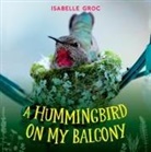 Isabelle Groc - A Hummingbird on My Balcony
