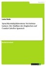 Luisa Rode - Sprachkontaktphänomene bei Artistas Latinos. Der Einfluss des Englischen auf Camila Cabellos Spanisch