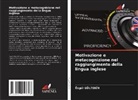 Özgül Gültek¿N, Özgül GÜLTEKIN - Motivazione e metacognizione nel raggiungimento della lingua inglese