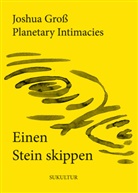 Joshua Groß, Planetary Intimacies - Einen Stein skippen