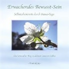 Anandajay _ - Erwachende Bewusstsein