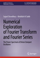 Abdullah Al Sakib, Sujaul Chowdhury - Numerical Exploration of Fourier Transform and Fourier Series