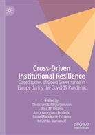 Kosjenka Duman¿i¿, Kosjenka Dumancic, Alina Georgiana Profiroiu et al, José M Ruano, Saule Maciukaite-Zviniene, Alina Georgiana Profiroiu... - Cross-Driven Institutional Resilience