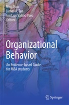 James A Tan, Ning Hou, James A. Tan, Gustavo Valdez Paez - Organizational Behavior
