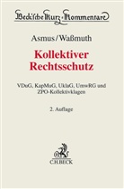 Thomas Asmus, Jan Axtmann u a, Guido Waßmuth - Kollektiver Rechtsschutz