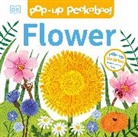 DK - Pop-Up Peekaboo! Flower