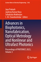 Jaydeep Kumar Basu, C M Chandrashekar, C. M. Chandrashekar, Jaydeep Kumar Basu, Sebabrata Mukherjee, Sebabrata Mukherjee et al... - Advances in Biophotonics, Nanofabrication, Optical Metrology and Nonlinear and Ultrafast Photonics