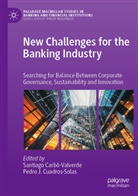 Santiago Carbó-Valverde, Pedro J. Cuadros-Solas, J Cuadros-Solas - New Challenges for the Banking Industry