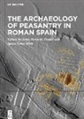 Jesús Bermejo Tirado, Ignasi Grau Mira - The Archaeology of Peasantry in Roman Spain