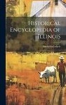 David Mcculloch - Historical Encyclopedia of Illinois