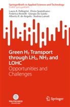 Alberto R. de Angelis, Giorgia De Guido, Andrea Lainati, Laura A. Pellegrini, Federica Restelli, Elvira Spatolisano - Green H2 Transport through LH2, NH3 and LOHC