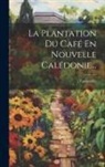 Camouilly - La Plantation Du Café En Nouvelle Calédonie