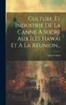 Léon Colson - Culture Et Industrie De La Canne À Sucre Aux Îles Hawai Et À La Réunion