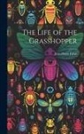 Jean-Henri Fabre - The Life of the Grasshopper