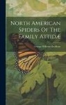 George Williams Peckham - North American Spiders Of The Family Attidæ