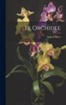 Angiolo Pucci - Le orchidee