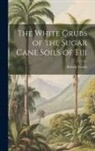 Robert Veitch - The White Grubs of the Sugar Cane Soils of Fiji