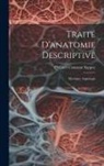 Philibert Constant Sappey - Traité D'anatomie Descriptive: Myologie; Angiologie