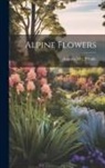 Augusta (Cleveland) Prindle - Alpine Flowers