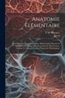 J. M. Bourgery, Jacob - Anatomie Élémentaire: En 20 Planches Format Colombier, Représentant Chacun Un Sujet Dans Son Entier À La Proportion De Demi-nature, Formant