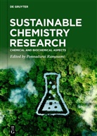 Ponnadurai Ramasami - Sustainable Chemistry Research