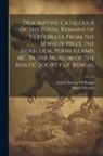 Hugh Falconer, Asiatic Society of bengal - Descriptive Catalogue of the Fossil Remains of Vertebrata From the Sewalik Hills, the Nerbudda, Perim Island, &c. in the Museum of the Asiatic Society