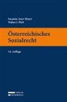 Susanne Auer-Mayer, Walter Pfeil - Österreichisches Sozialrecht
