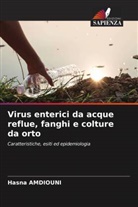 Hasna Amdiouni - Virus enterici da acque reflue, fanghi e colture da orto
