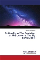 Valentin Mdzinarishvili - Optimality of The Evolution of The Universe, The Big Bang Model