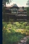 Charles Scribner's Sons - Trees & Shrubs for English Gardens